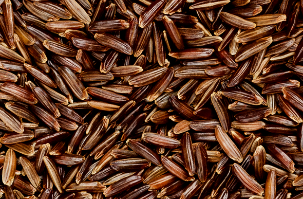 <center>Levure rouge de riz</center> Levure rouge de riz
