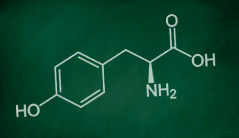 L-Tyrosine