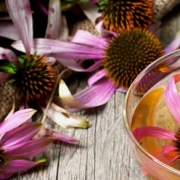 laboratoire-dissolvurol-10-plantes-défenses-immunitaires