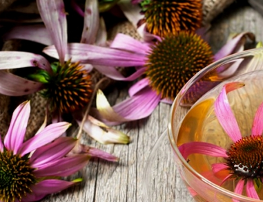 laboratoire-dissolvurol-10-plantes-défenses-immunitaires
