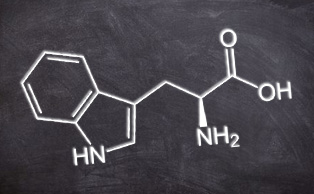 photo_article_sérotonine_mélatonine_tryptophane