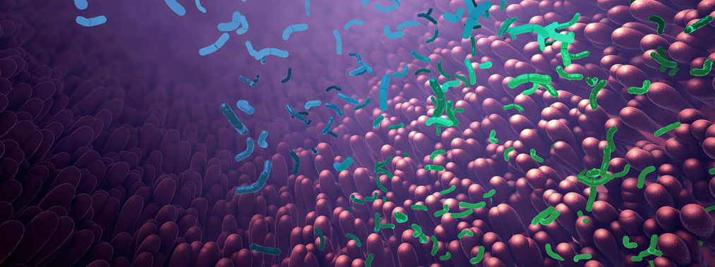 laboratoire dissolvurol microbiote et bacteries intestinales