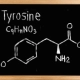 tyrosine schema tableau noir
